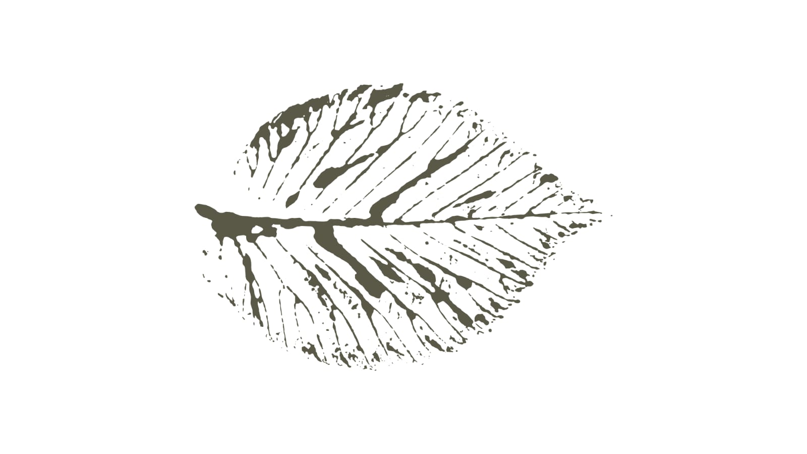 proceswerk, ademsessies, begeleiding